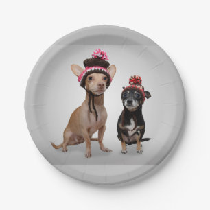 Chihuahua-Hunde mit Hut-Foto Pappteller