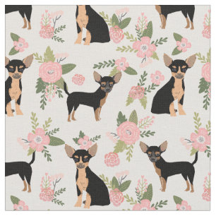 Chihuahua-Hunde pflorieren Stoff