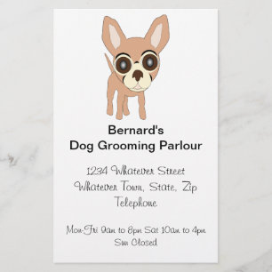 Chihuahua-Hundepflege-Salon Flyer