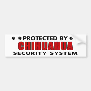 Chihuahua-Hundesicherheit Autoaufkleber