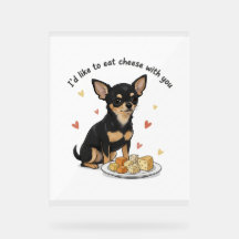 Chihuahua " Ich möchte gerne Käse mit dir essen"