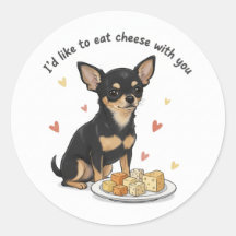 Chihuahua " Ich möchte gerne Käse mit dir essen"