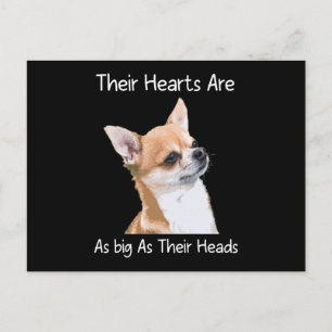 Chihuahua ihre Herzen sind so groß wie ihre Köpfe Postkarte
