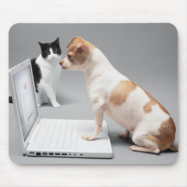 Chihuahua in den Bildschirm eines Laptops schauen Mousepad (Vorne)
