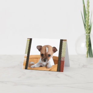 Chihuahua in der Korb-Anmerkungs-Karte Karte
