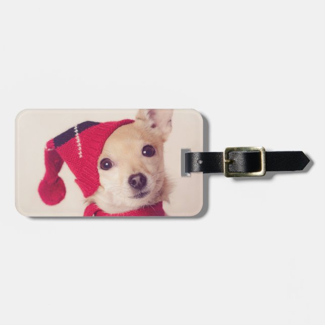 Chihuahua in der Winter-Kappe Gepäckanhänger (Vorderseite horizontal)