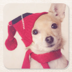 Chihuahua in der Winter-Kappe Rechteckiger Pappuntersetzer