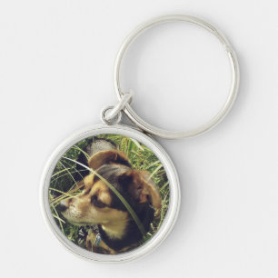 Chihuahua in Gras Schlüsselanhänger