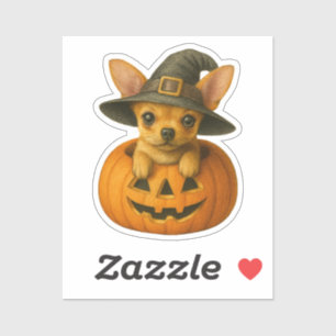 Chihuahua in Pumpkin Aufkleber
