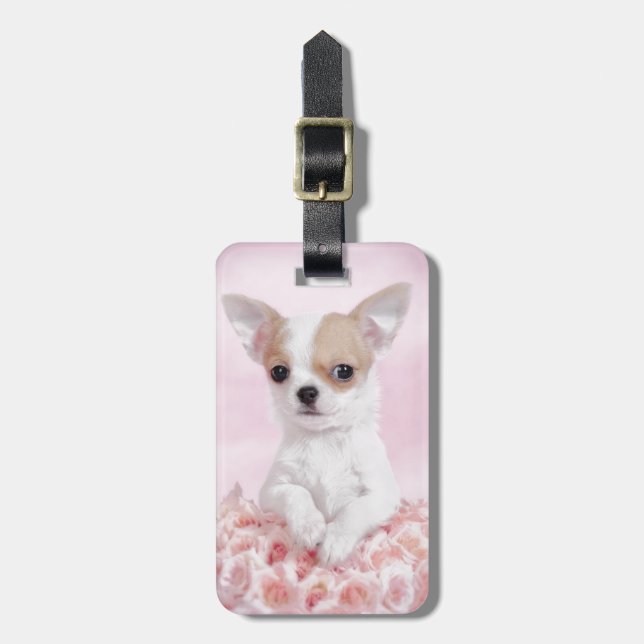 Chihuahua in Rosa mit Rose Gepäckanhänger (Vorderseite vertikal)