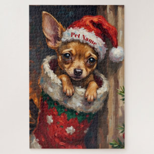 Chihuahua in Weihnachtsstrumpfhut