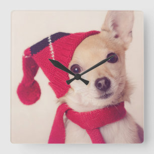 Chihuahua In Winter Cap Quadratische Wanduhr