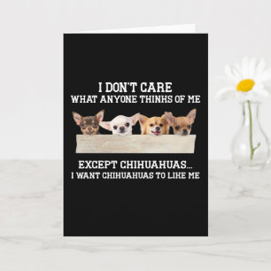 Chihuahua ist mir egal, was mir jemand denkt karte