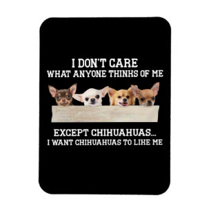 Chihuahua ist mir egal, was mir jemand denkt magnet
