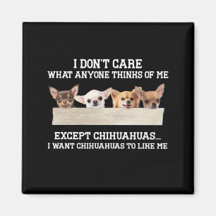Chihuahua ist mir egal, was mir jemand denkt magnet