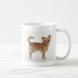 Chihuahua Kaffeetasse