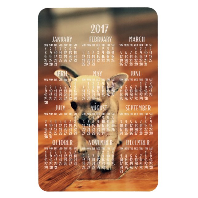 Chihuahua Kalender 2017 Foto Magnet 4x6 Groß (Vertikal)