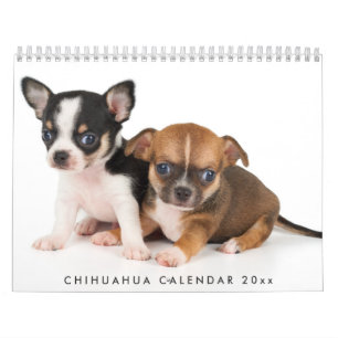 Chihuahua Kalender 2025 Fotos hinzufügen