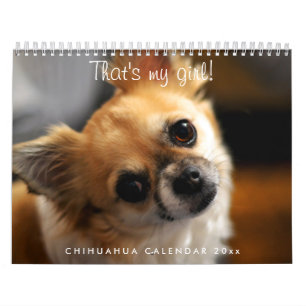 Chihuahua-Kalender 2025 Kalender