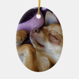 Chihuahua Keramik Ornament