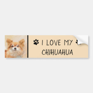 Chihuahua Langhaar-Hund Gemälde Original Kunst Autoaufkleber
