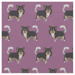 Chihuahua langhaariger, tribierter Hund lila Stoff