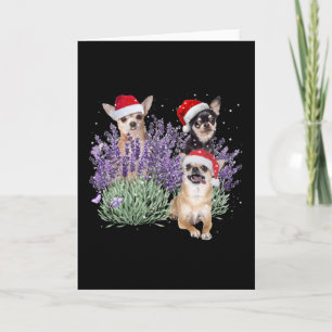 Chihuahua Lavendel-Blumen-Weihnachts-Shirt Chihuah Karte