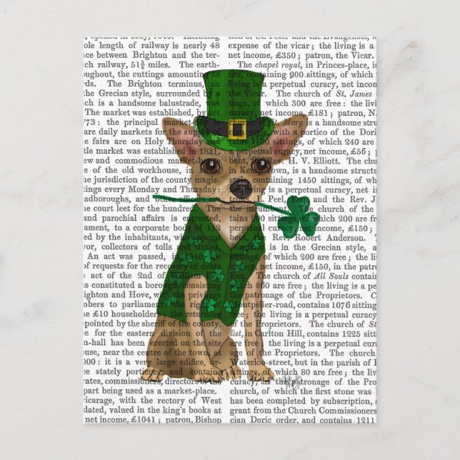 Chihuahua Leprechaun Postkarte (Vorderseite)