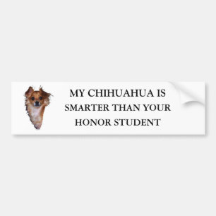 Chihuahua-Liebhaber Autoaufkleber