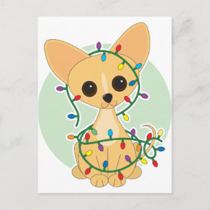Chihuahua Lights Postkarte