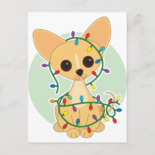 Chihuahua Lights Postkarte (Vorderseite)