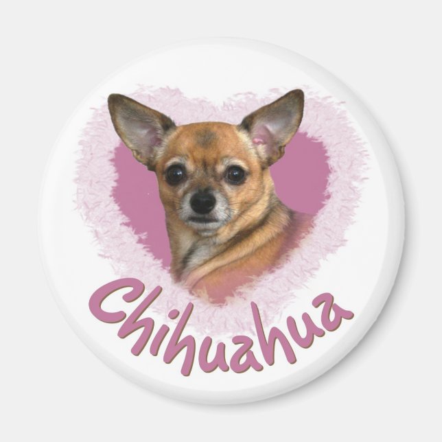 Chihuahua Magnet (Vorne)