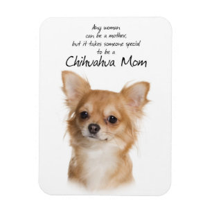 Chihuahua Mama Magnet
