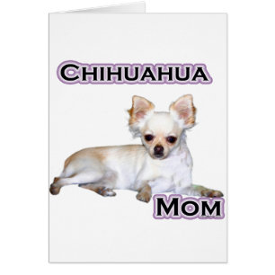 Chihuahua Maman 4