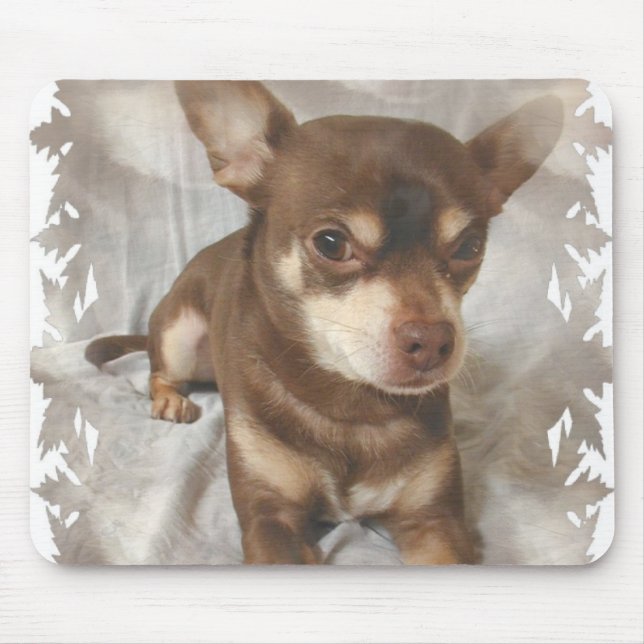 Chihuahua-Mausunterlage Mousepad (Vorne)