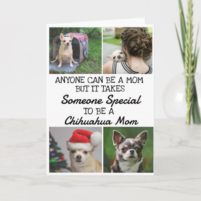Chihuahua...Meilleure carte mère pour la fête des  (Devant)