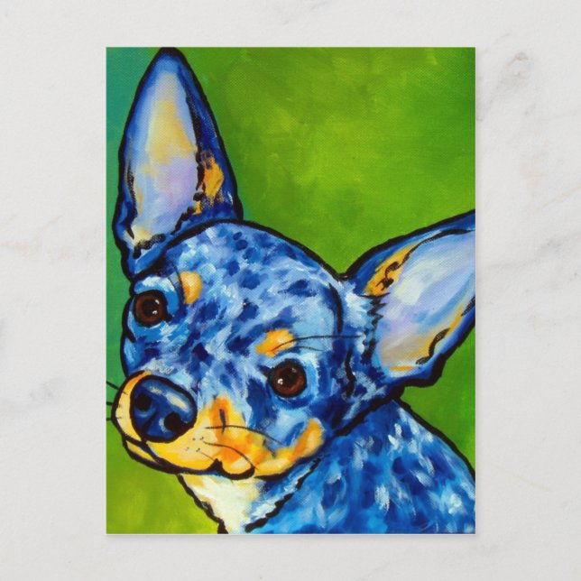 Chihuahua Merle 2 Postkarte (Vorderseite)