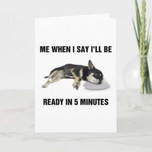 Chihuahua mir, wenn ich sage, ich bin in 5 Minuten Karte