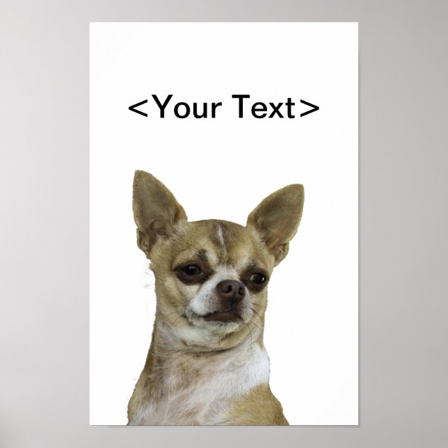 Chihuahua mit Attitude Poster (Vorne)