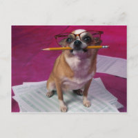 Chihuahua mit Bleistift