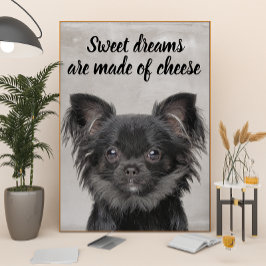 Chihuahua mit lustigem Hundebandposter Poster