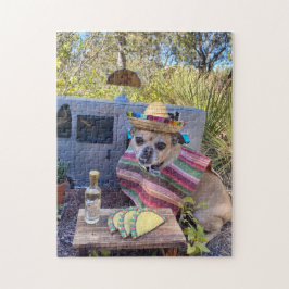 Chihuahua mit sombrero-fressenden Tacos