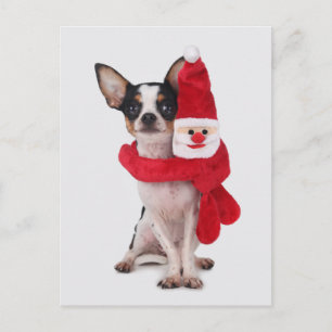 Chihuahua mit Weihnachtsmann-Puppe Feiertagspostkarte