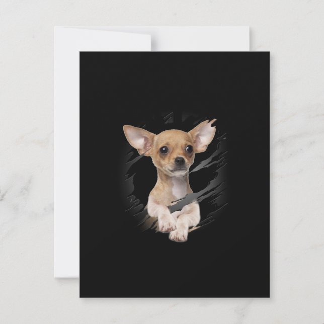 Chihuahua Mitteilungskarte (Vorderseite)