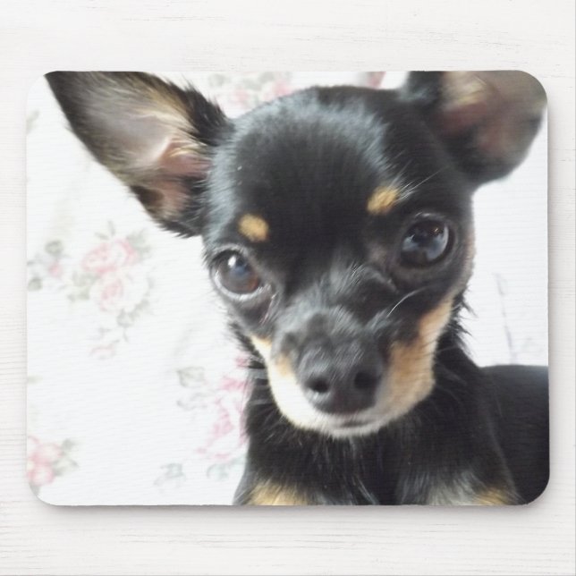 Chihuahua Mousepad (Vorne)