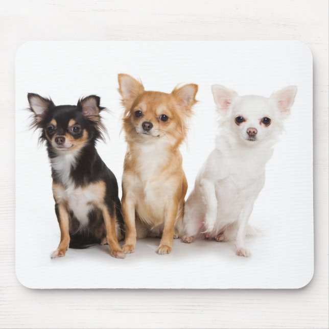 Chihuahua Mousepad (Vorne)