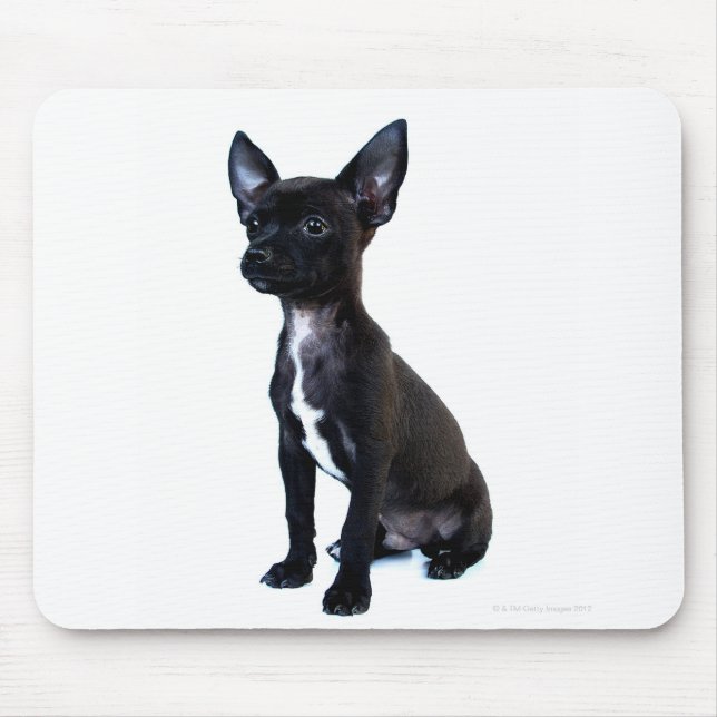 Chihuahua Mousepad (Vorne)