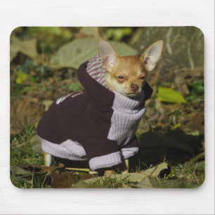 Chihuahua Mousepad