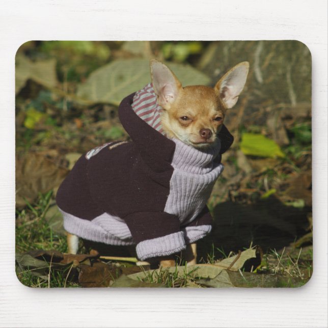 Chihuahua Mousepad (Vorne)