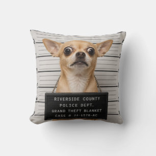Chihuahua-Mugshot: Schwerer Diebstahl einer Decke Kissen